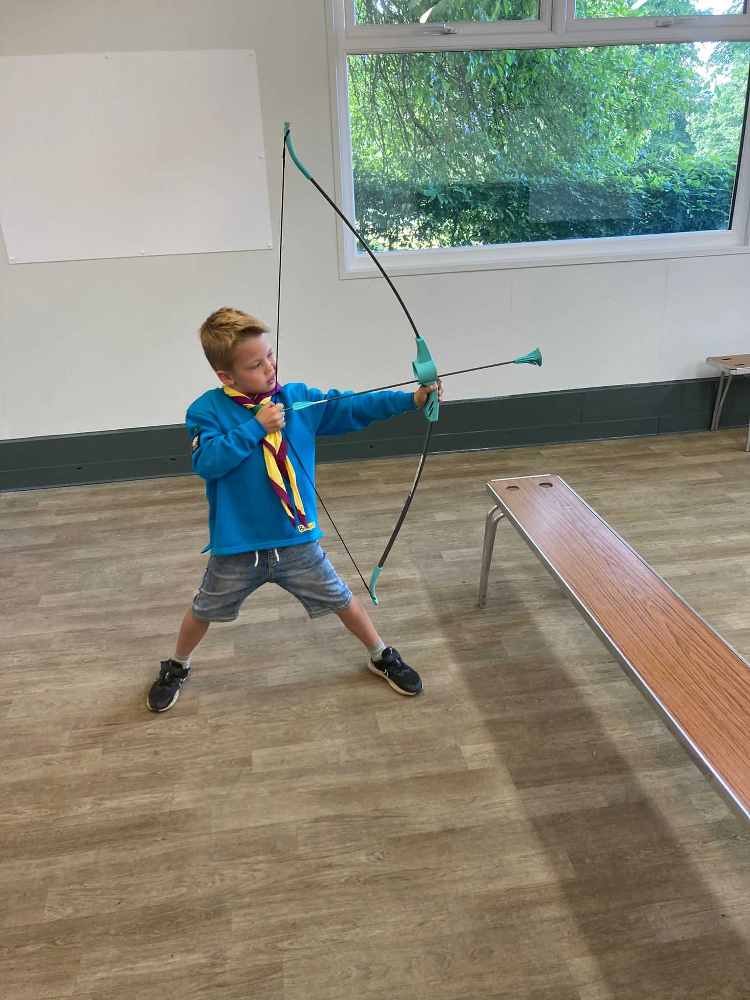 Beavers Activities