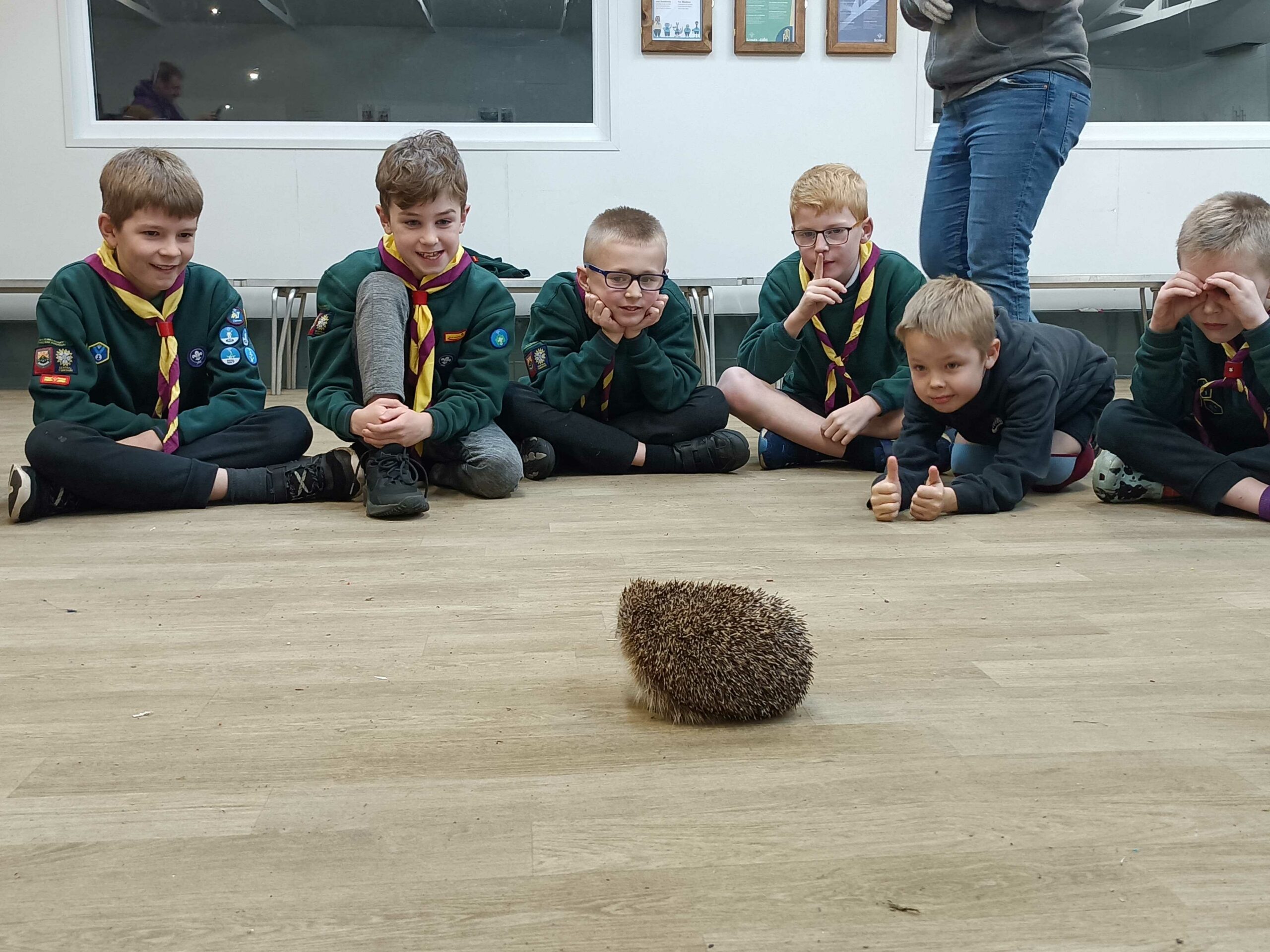 Cub activities